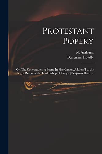 Imagen de archivo de Protestant Popery: or, The Convocation. A Poem. In Five Cantos. Address'd to the Right Reverend the Lord Bishop of Bangor [Benjamin Hoadly] a la venta por Lucky's Textbooks