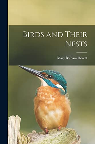 Stock image for Birds and Their Nests for sale by GreatBookPrices