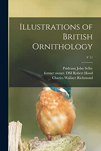 Stock image for Illustrations of British Ornithology; v 11 for sale by Lucky's Textbooks
