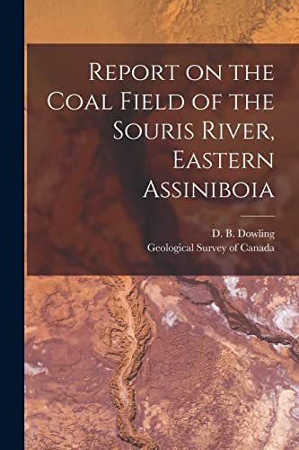 Beispielbild fr Report on the Coal Field of the Souris River; Eastern Assiniboia [microform] zum Verkauf von Ria Christie Collections