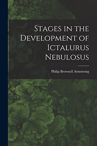 Imagen de archivo de Stages in the Development of Ictalurus Nebulosus a la venta por Lucky's Textbooks