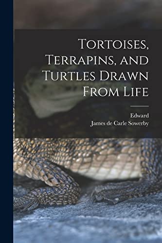 Stock image for Tortoises, Terrapins, and Turtles Drawn From Life for sale by PBShop.store US