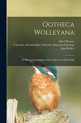 Stock image for Ootheca Wolleyana for sale by PBShop.store US