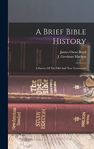 Imagen de archivo de A Brief Bible History; A Survey Of The Old And New Testaments a la venta por THE SAINT BOOKSTORE