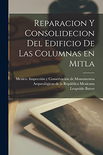 Stock image for REPARACION Y CONSOLIDECION DEL EDIFICIO DE LAS COLUMNAS EN MITLA. for sale by KALAMO LIBROS, S.L.