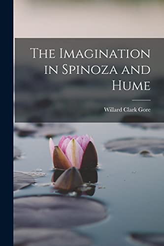 Beispielbild fr The Imagination in Spinoza and Hume zum Verkauf von PBShop.store US