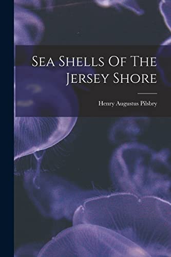 Imagen de archivo de Sea Shells Of The Jersey Shore a la venta por GreatBookPrices