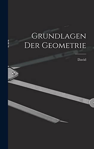 Stock image for Grundlagen der Geometrie for sale by THE SAINT BOOKSTORE
