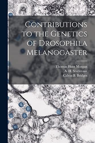 Imagen de archivo de Contributions to the Genetics of Drosophila Melanogaster a la venta por PBShop.store US