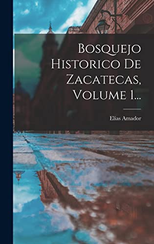 Stock image for Bosquejo Historico De Zacatecas, Volume 1. for sale by THE SAINT BOOKSTORE