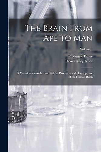 Imagen de archivo de The Brain From ape to man; a Contribution to the Study of the Evolution and Development of the Human Brain; Volume 1 a la venta por PBShop.store US