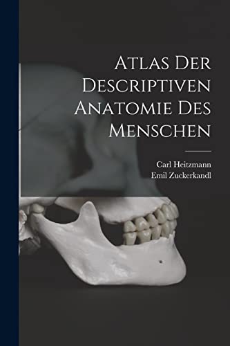 Stock image for Atlas Der Descriptiven Anatomie Des Menschen for sale by THE SAINT BOOKSTORE