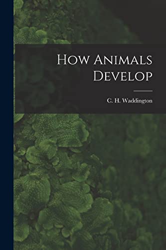 Stock image for How Animals Develop for sale by GreatBookPrices