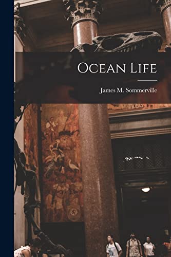 Imagen de archivo de Ocean Life a la venta por THE SAINT BOOKSTORE