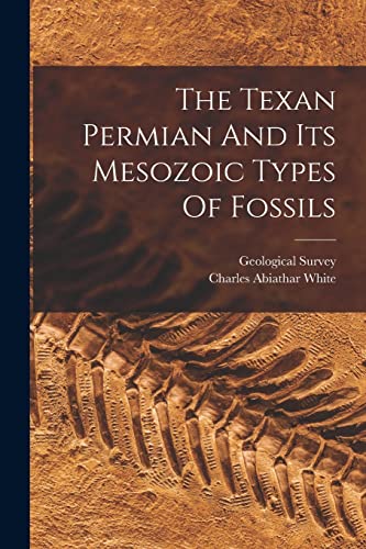 Stock image for The Texan Permian And Its Mesozoic Types Of Fossils for sale by Chiron Media