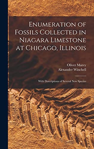 Beispielbild fr Enumeration of Fossils Collected in Niagara Limestone at Chicago, Illinois; With Descriptions of Several new Species zum Verkauf von Ria Christie Collections