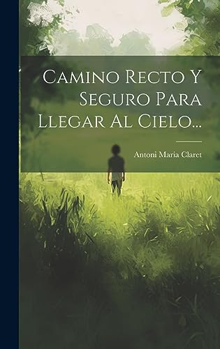 Stock image for Camino Recto Y Seguro Para Llegar Al Cielo. for sale by GreatBookPrices