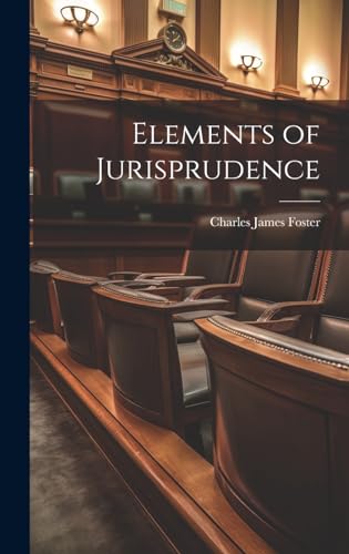 Stock image for Elements of Jurisprudence for sale by PBShop.store US