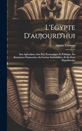 Stock image for L'Egypte d'aujourd'hui for sale by PBShop.store US