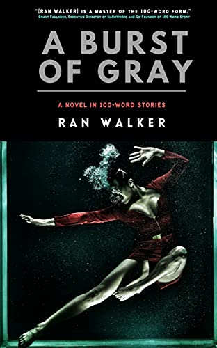 Imagen de archivo de A Burst of Gray: A Novel in 100-Word Stories a la venta por Save With Sam