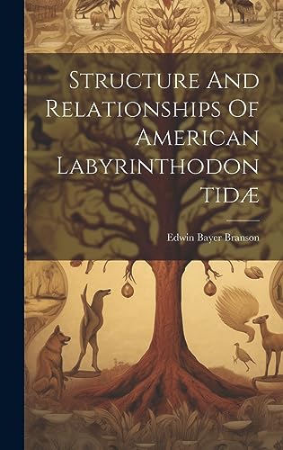 9781020619489: Structure And Relationships Of American Labyrinthodontid