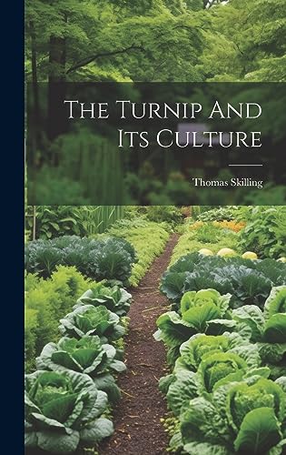 Imagen de archivo de The Turnip And Its Culture a la venta por THE SAINT BOOKSTORE