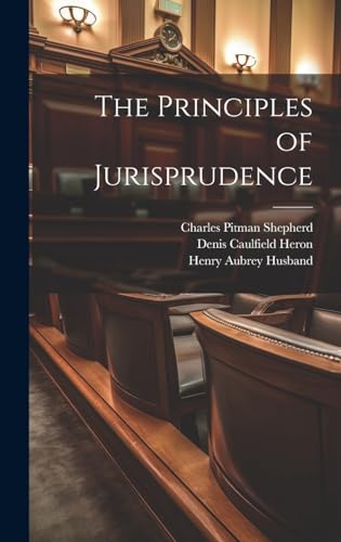 Stock image for The Principles of Jurisprudence for sale by THE SAINT BOOKSTORE