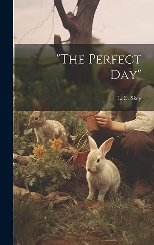 Stock image for The Perfect Day for sale by THE SAINT BOOKSTORE