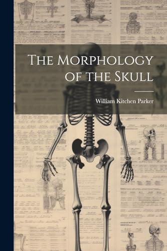 Stock image for The The Morphology of the Skull for sale by PBShop.store US
