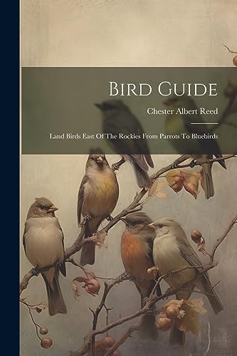 Stock image for Bird Guide: Land Birds East Of The Rockies From Parrots To Bluebirds for sale by THE SAINT BOOKSTORE