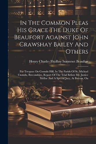 Stock image for In The Common Pleas His Grace The Duke Of Beaufort Against John Crawshay Bailey And Others for sale by PBShop.store US