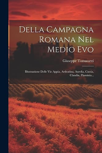 Stock image for Della Campagna Romana Nel Medio Evo: Illustrazione Delle Vie Appia, Ardeatina, Aurelia, Cassia, Claudia, Flaminia. for sale by THE SAINT BOOKSTORE