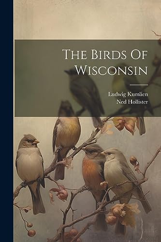 Stock image for The Birds Of Wisconsin for sale by GreatBookPrices