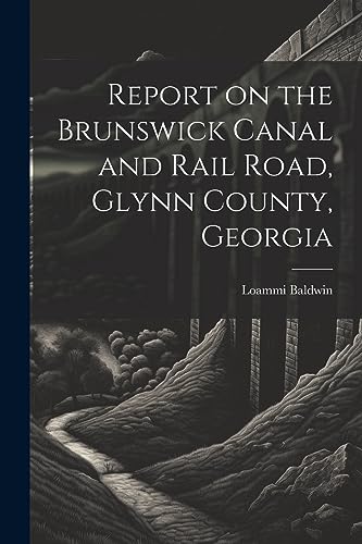 Imagen de archivo de Report on the Brunswick Canal and Rail Road, Glynn County, Georgia a la venta por THE SAINT BOOKSTORE