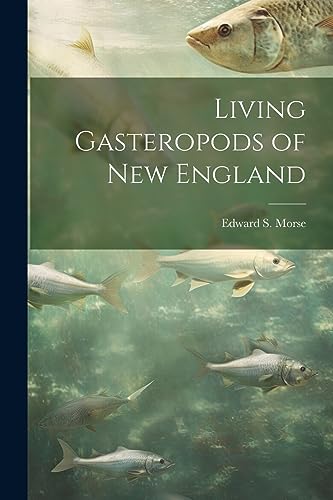 Stock image for Living Gasteropods of new England for sale by PBShop.store US