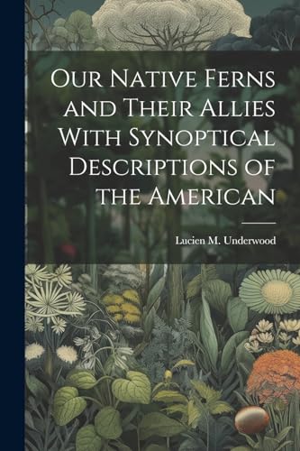 Stock image for Our Native Ferns and Their Allies With Synoptical Descriptions of the American for sale by THE SAINT BOOKSTORE