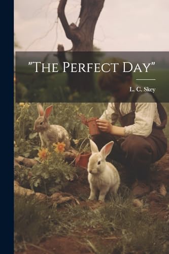Stock image for The Perfect Day for sale by THE SAINT BOOKSTORE