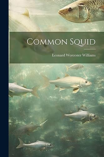 Imagen de archivo de Common Squid a la venta por PBShop.store US
