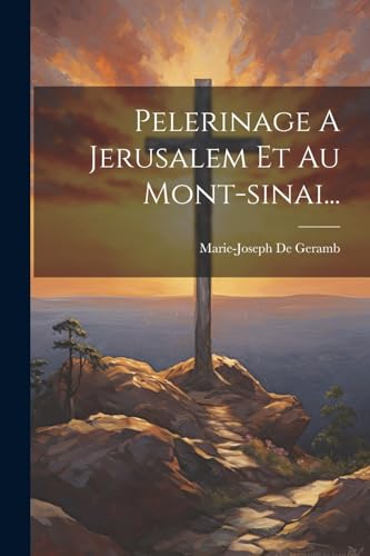 Stock image for Pelerinage A Jerusalem Et Au Mont-sinai. for sale by PBShop.store US