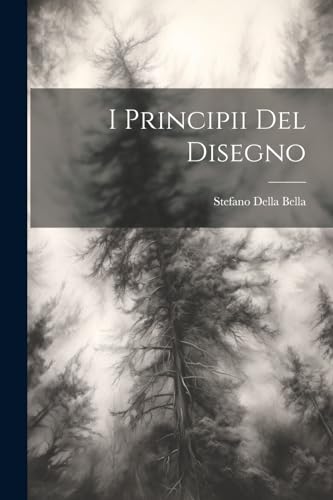 Stock image for I principii del disegno for sale by THE SAINT BOOKSTORE