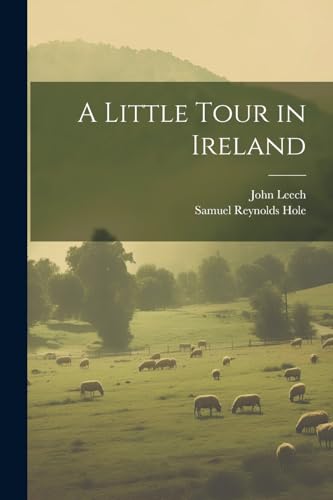 Imagen de archivo de A A Little Tour in Ireland a la venta por PBShop.store US