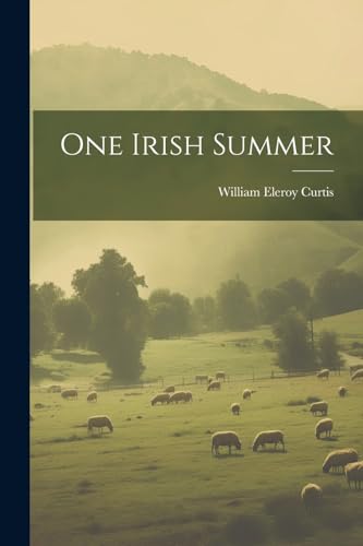 9781022811423: One Irish Summer