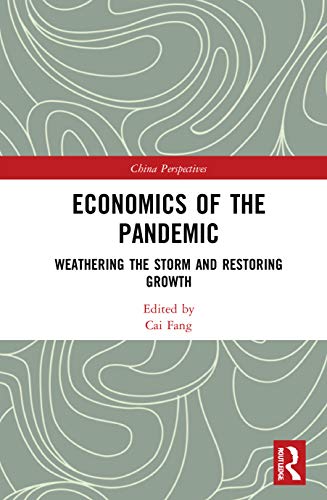 Imagen de archivo de Economics of the Pandemic: Weathering the Storm and Restoring Growth a la venta por Revaluation Books