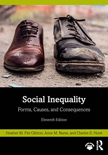 Beispielbild fr Social Inequality: Forms, Causes, and Consequences zum Verkauf von Monster Bookshop