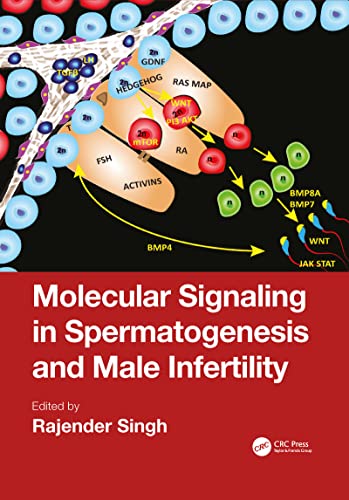 Stock image for Molecular Signaling in Spermatogenesis and Male Infertility for sale by Blackwell's