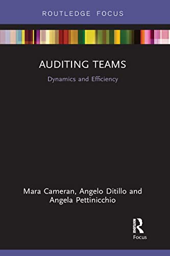 Stock image for Auditing Teams for sale by Blackwell's