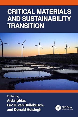 Stock image for Critical Materials and Sustainability Transition for sale by THE SAINT BOOKSTORE