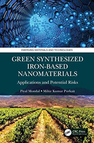 Beispielbild fr Green Synthesized Iron-based Nanomaterials: Applications and Potential Risks zum Verkauf von Blackwell's