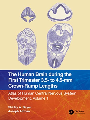 Beispielbild fr The Human Brain during the First Trimester 3.5- to 4.5-mm Crown-Rump Lengths: Atlas of Human Central Nervous System Development, Volume 1 (Atlas of Human Central Nervous System Development, 1) zum Verkauf von Books From California