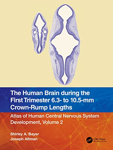 Beispielbild fr The Human Brain during the First Trimester 6.3- to 10.5-mm Crown-Rump Lengths: Atlas of Human Central Nervous System Development, Volume 2 (Atlas of Human Central Nervous System Development, 2) zum Verkauf von Books From California